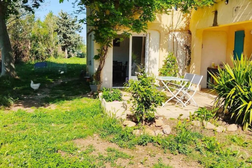 Offrez-Vous Un Sejour Dans Notre Gite A Entressen Une Grande Piscine Pour Se Rafraichir ,Un Espace De Jeux Pour Enfants Pour Des Heures De Divertissement Un Terrain De Petanque Pour Des Parties Endiablees Εξωτερικό φωτογραφία